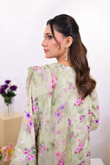 Orchid SCHIFFLI Set