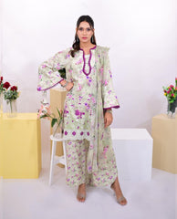Orchid SCHIFFLI Set