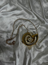 Golden Shell