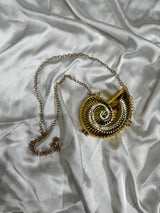 Golden Shell