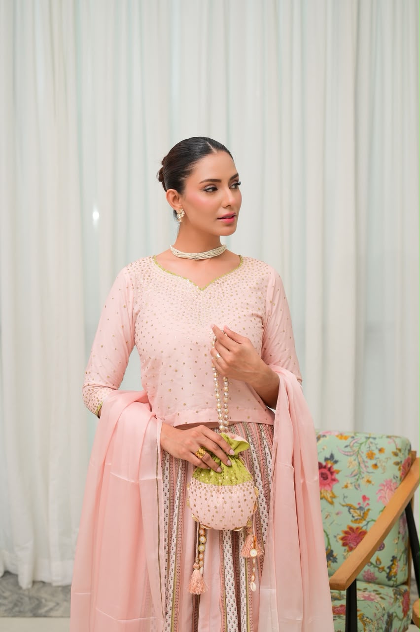 LUXE LEHENGA CHOLI