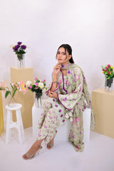 Orchid SCHIFFLI Set